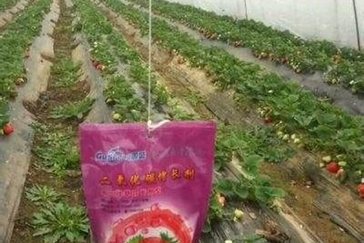氯化铵含多少氯