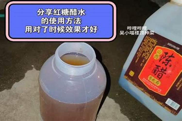 用啤酒草木灰白醋红糖兑的水来喷洒红薯,真的会有效果吗