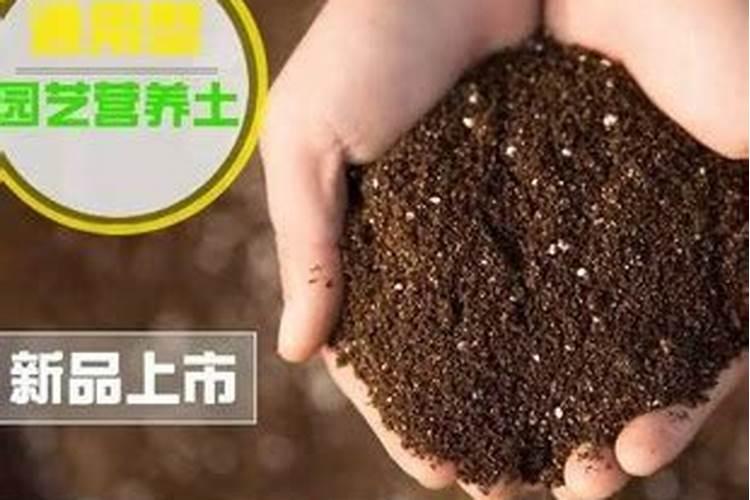 多肉用什么肥料比较好 多肉肥料的选择