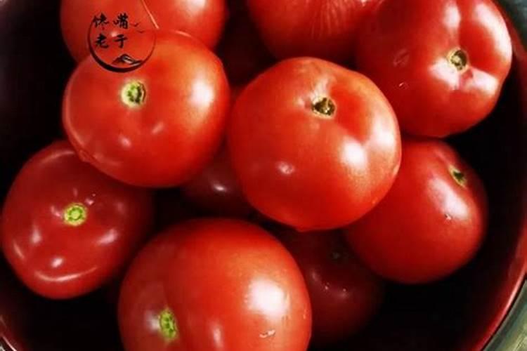 西红柿施什么肥最好
