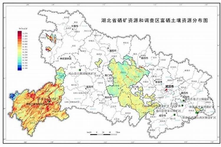 鄂州8公分香樟多少钱