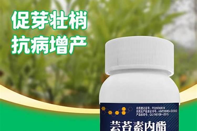 芸苔素哪个品牌好