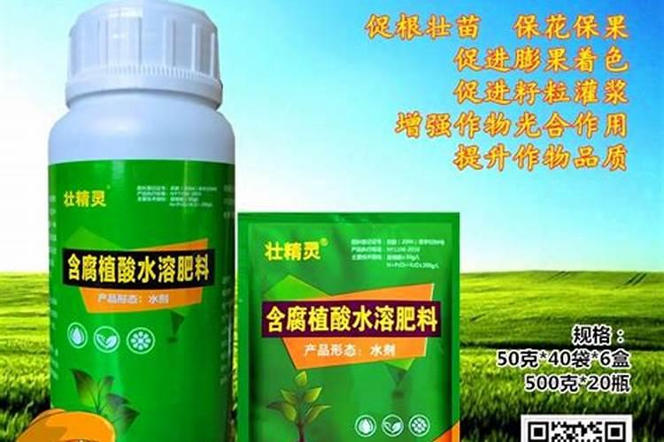 茶叶用什么化肥好