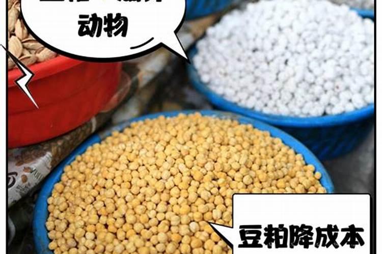 豆粕如何沤肥