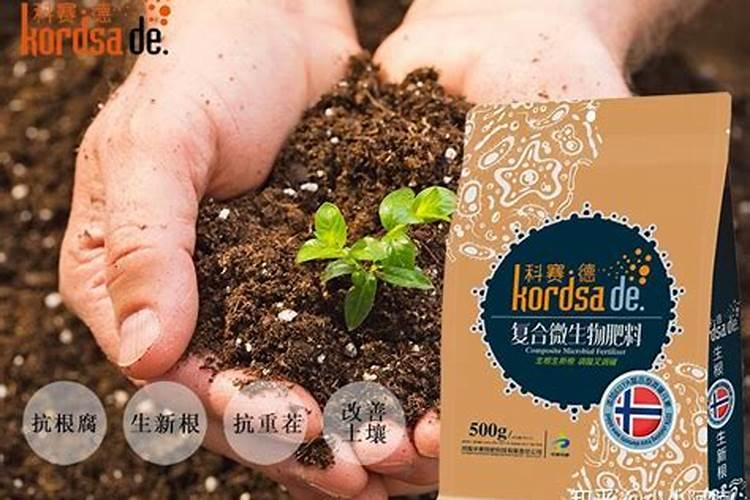 种菜用什么肥料最好