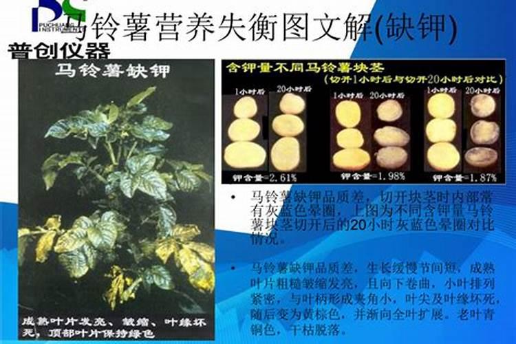 什么是磷肥 磷肥有哪些