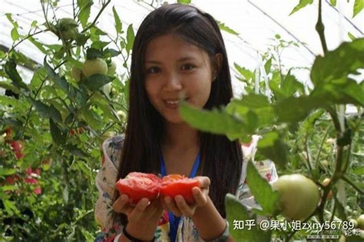 果树如何促进花芽分化 果树怎么养护