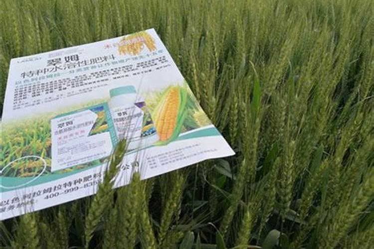 南方果树的土叶面施肥有哪些常用的方法？