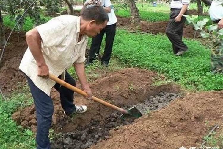 肥料撒施好还是深埋好