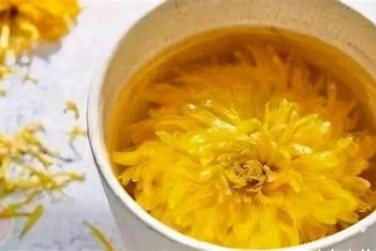 栽菊花小技巧