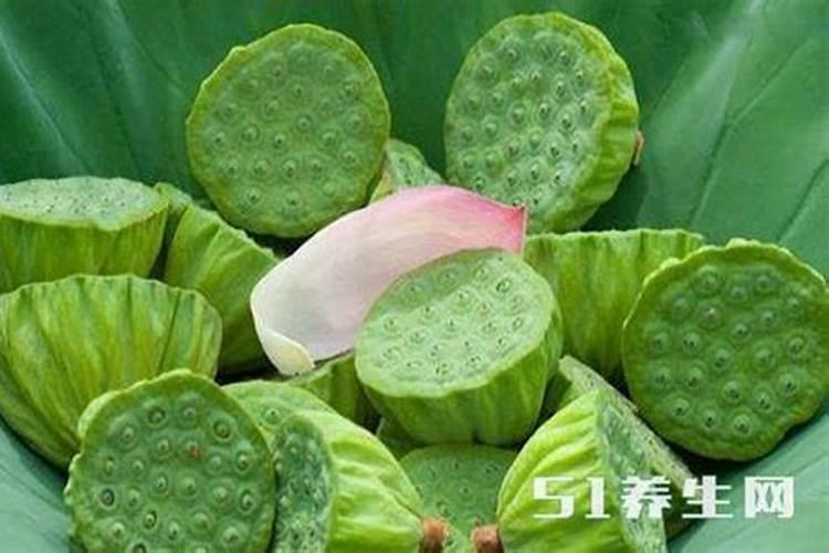 莲子怎么种好