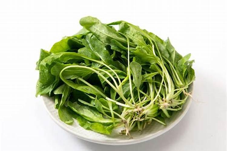 荠菜的种类和区别
