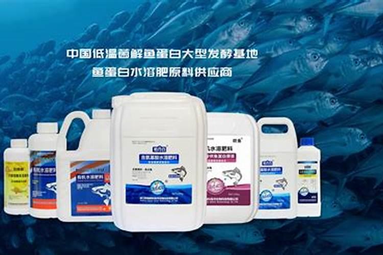 雅奇有机鱼蛋白液多少钱一桶？