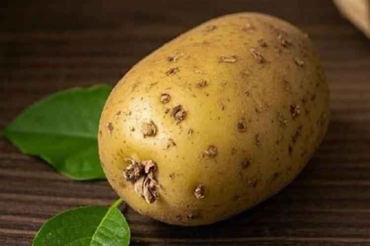 现在种土豆施用什么肥料高产,购买肥料应注意什么