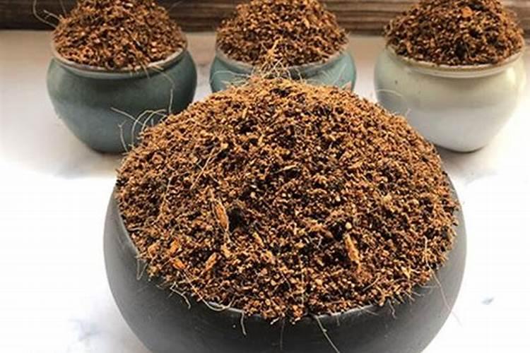云竹用什么肥料最好