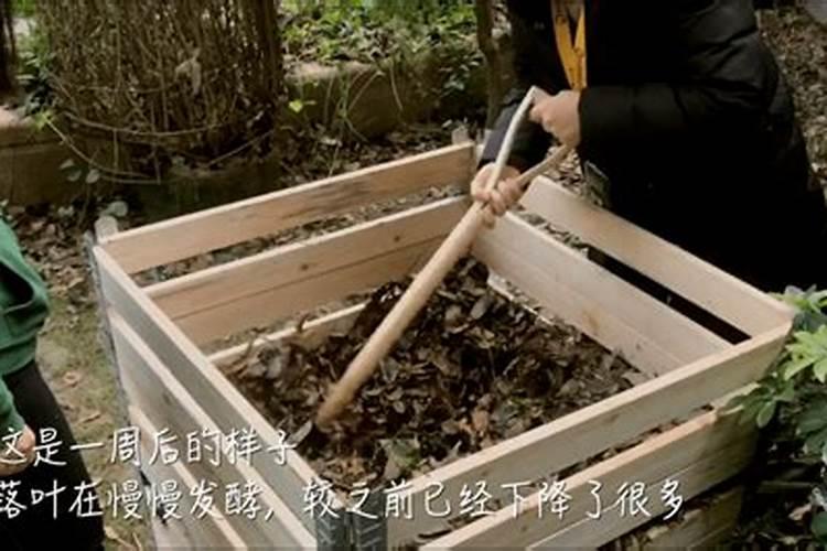 树叶做肥料最简单的方法