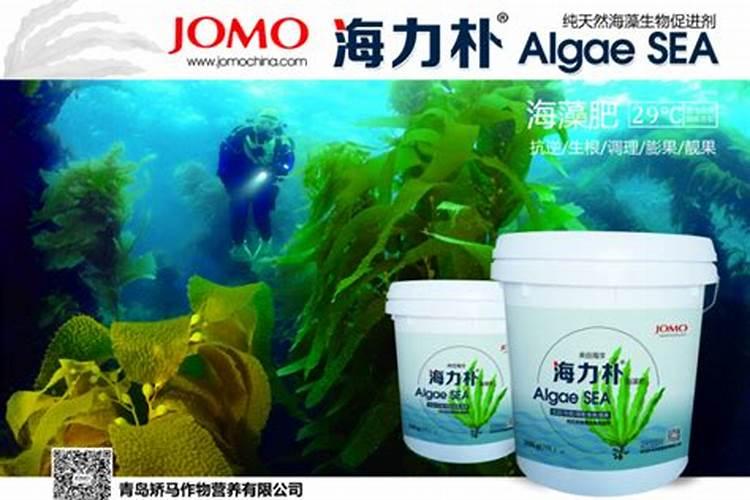 橘子树怎么管理