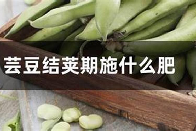 硫酸钾与氯化钾在溶解性上呈现怎样的不同