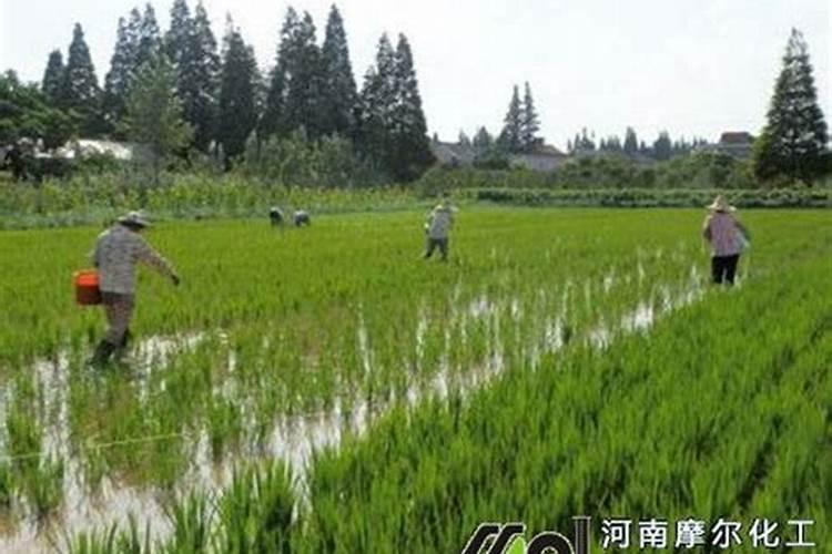上海汉和农业生产资料有限公司的产品体系