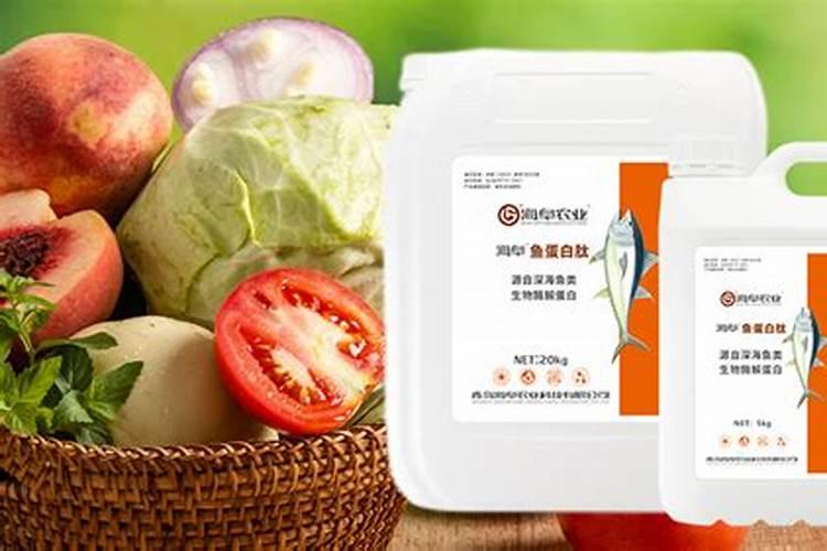 开花结果时施什么肥