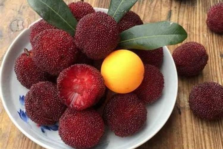 东魁杨梅种植过程中发生缺锌怎么办