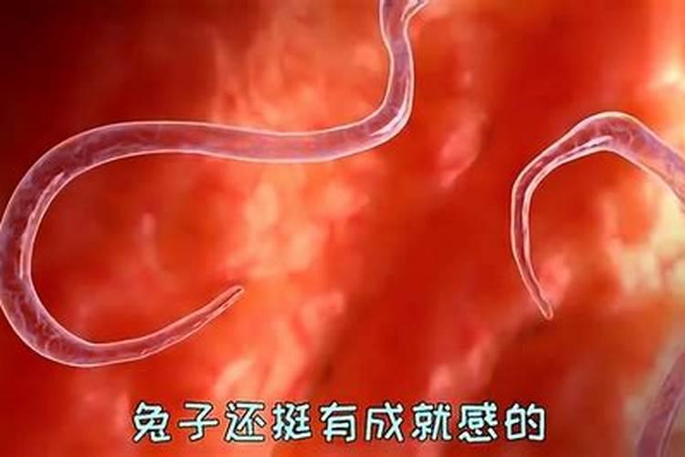 各位老师,黄瓜病毒,打什么药效果最好,除打虫药外