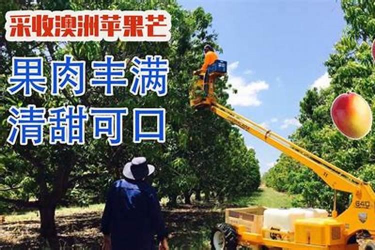 磷钾肥的科学施用方法总结