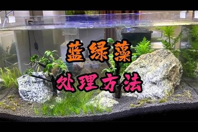 氧化锌是什么东西,有什么用处