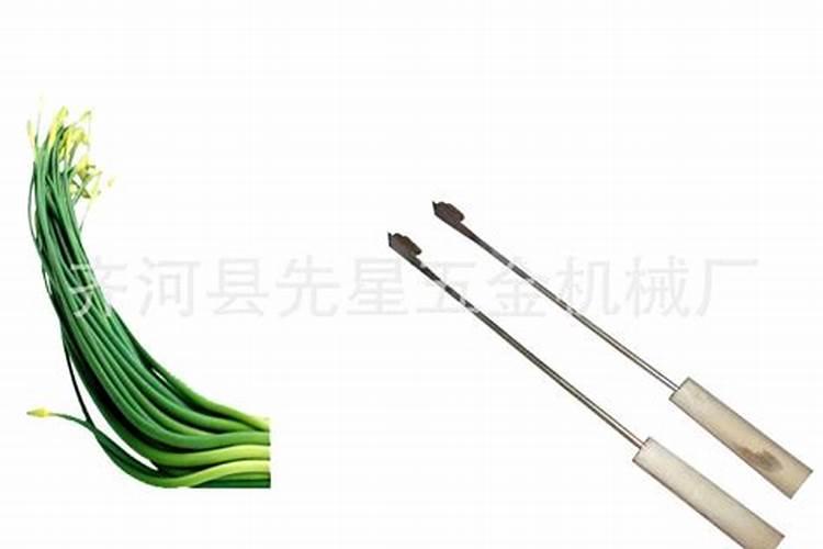 大蒜抽苔期追肥追什么化肥