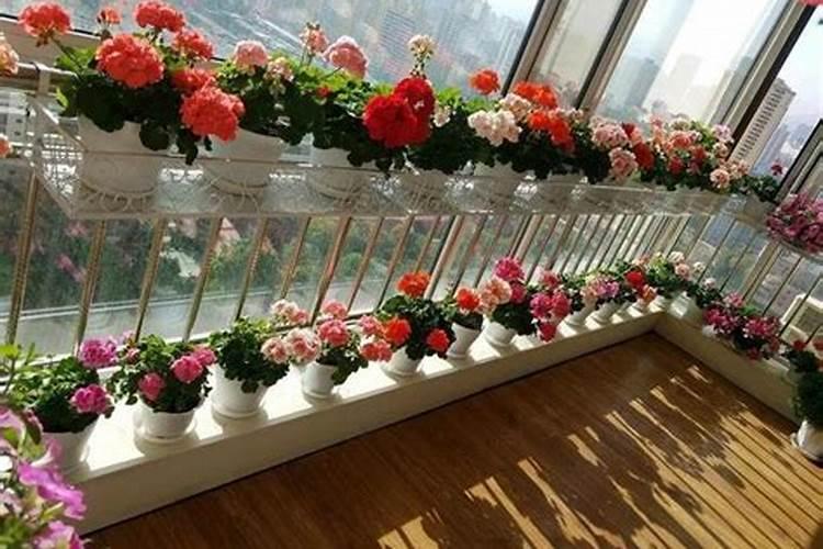 枯草芽孢杆菌可以和硫酸钾复合肥混用吗？
