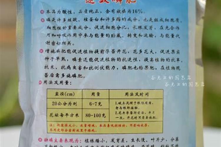 橙子树春季需要上什么肥料？