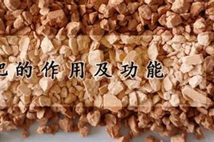 草花氮肥还是钾肥