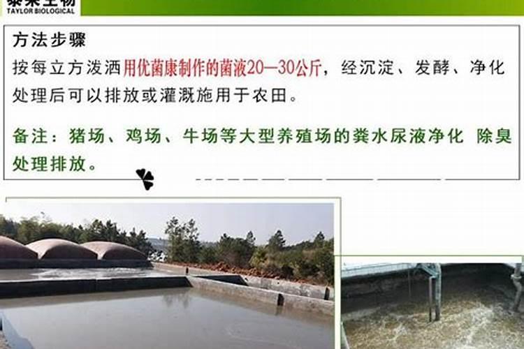 生姜耐旱吗