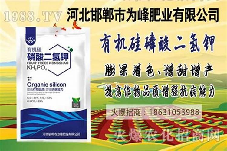 磷酸二氢钾配什么农药好