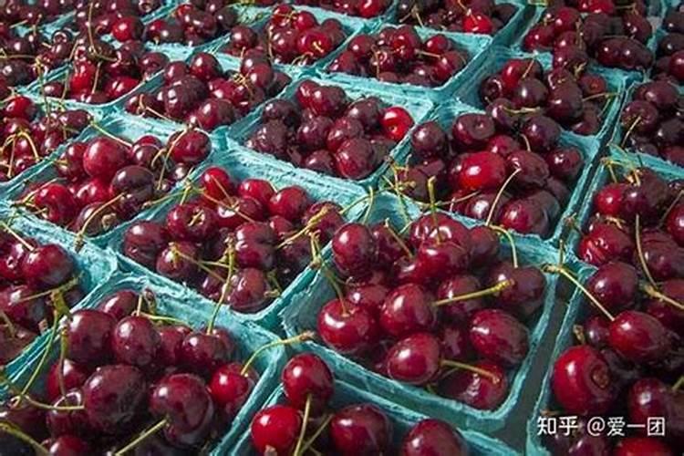 丹参种植几年后可以采收