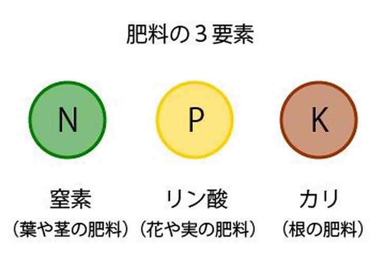 农作物肥料的三大要素是