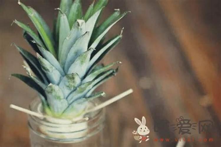 微量元素水溶肥多久用一次 微量元素水溶肥料的适用作物和使用方法百 ...