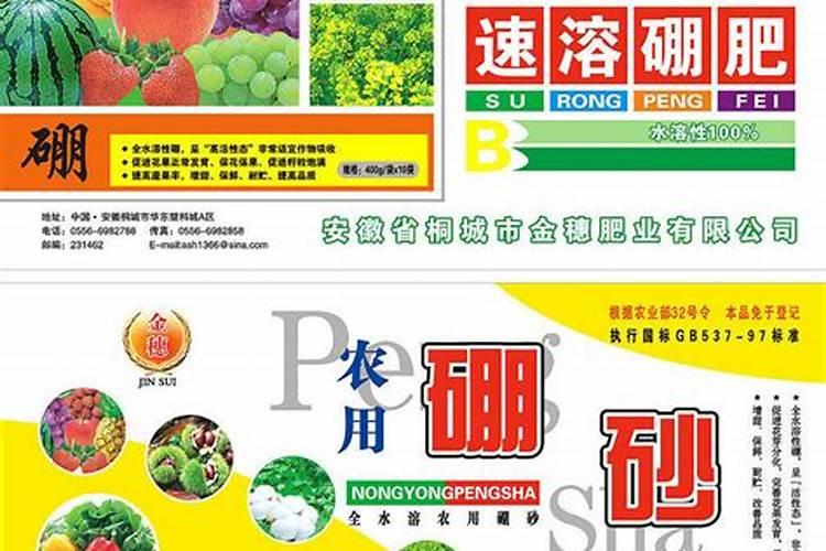 油菜播种前的注意事项 油菜怎么养殖好