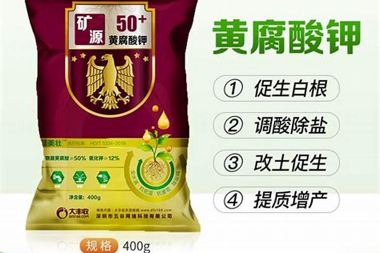 请问苹果套袋前打什么药