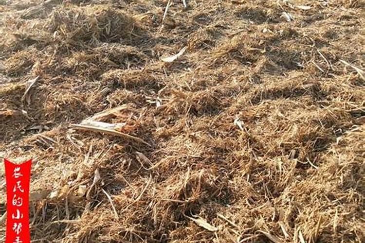 钾是山药需求量最多的元素,山药用哪种钾肥效果好呢？