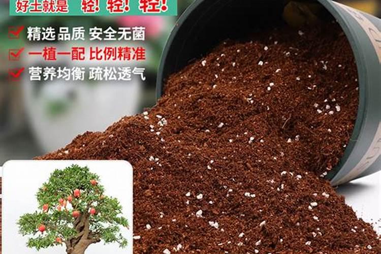糖醇钙镁硼和鱼蛋白加云台素能保花保果作用吗？