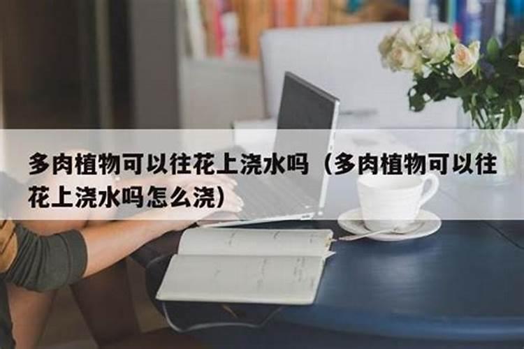 草胡椒多肉植物生长习性施肥的知识点有哪些