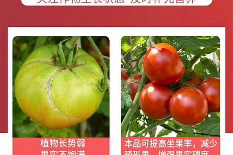 如何识别撒可富复合肥真假