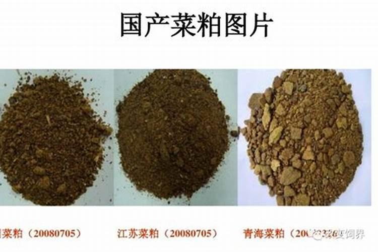 什么是纳米有机肥料？