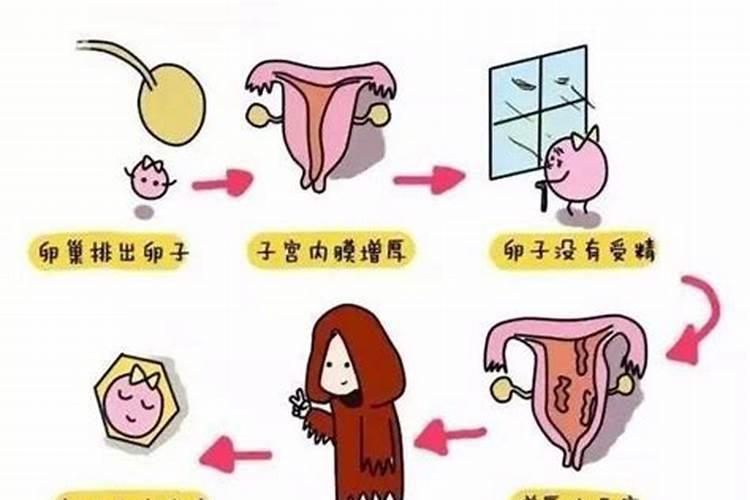 氮对烟草有哪些作用？