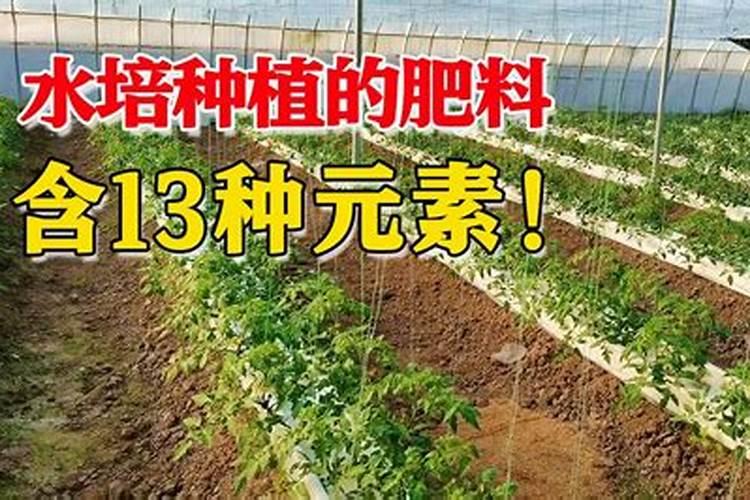 悬乳肥和液体肥有什么区别