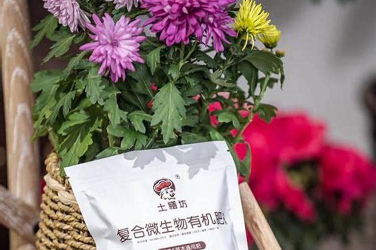 树木用什么化肥
