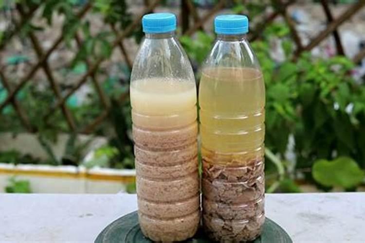 大豆里含什么营养成分