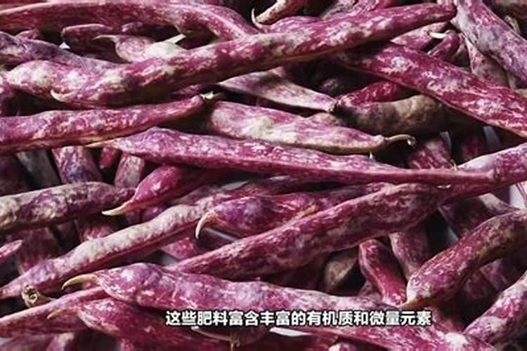 IPO观察丨科创板重量级选手登场,这次是全球农化千亿巨头