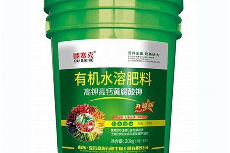不同树木的成才年龄一样吗